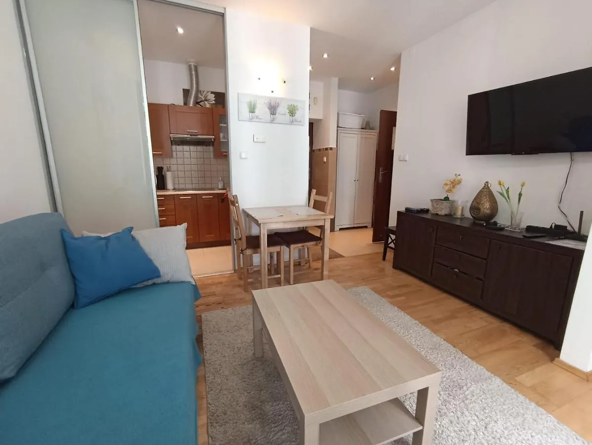 Apartament Wielopole 17 Cracovia Polonia